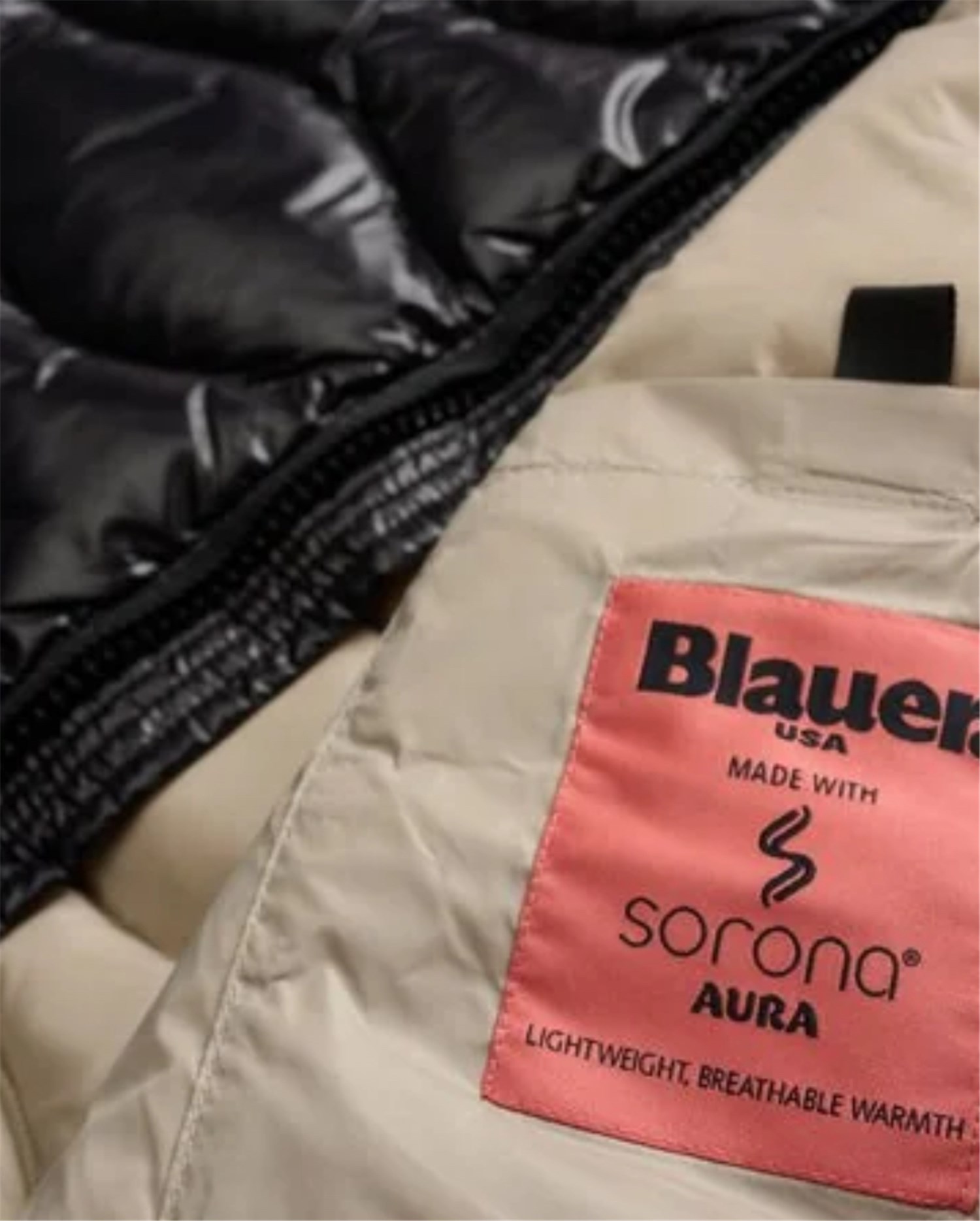 Blauer 25SBLUX02081 005958 Nero Abbigliamento Uomo Gilet Blauer 25SBLUX02081 005958 Nero Abbigliamento Uomo Gilet
