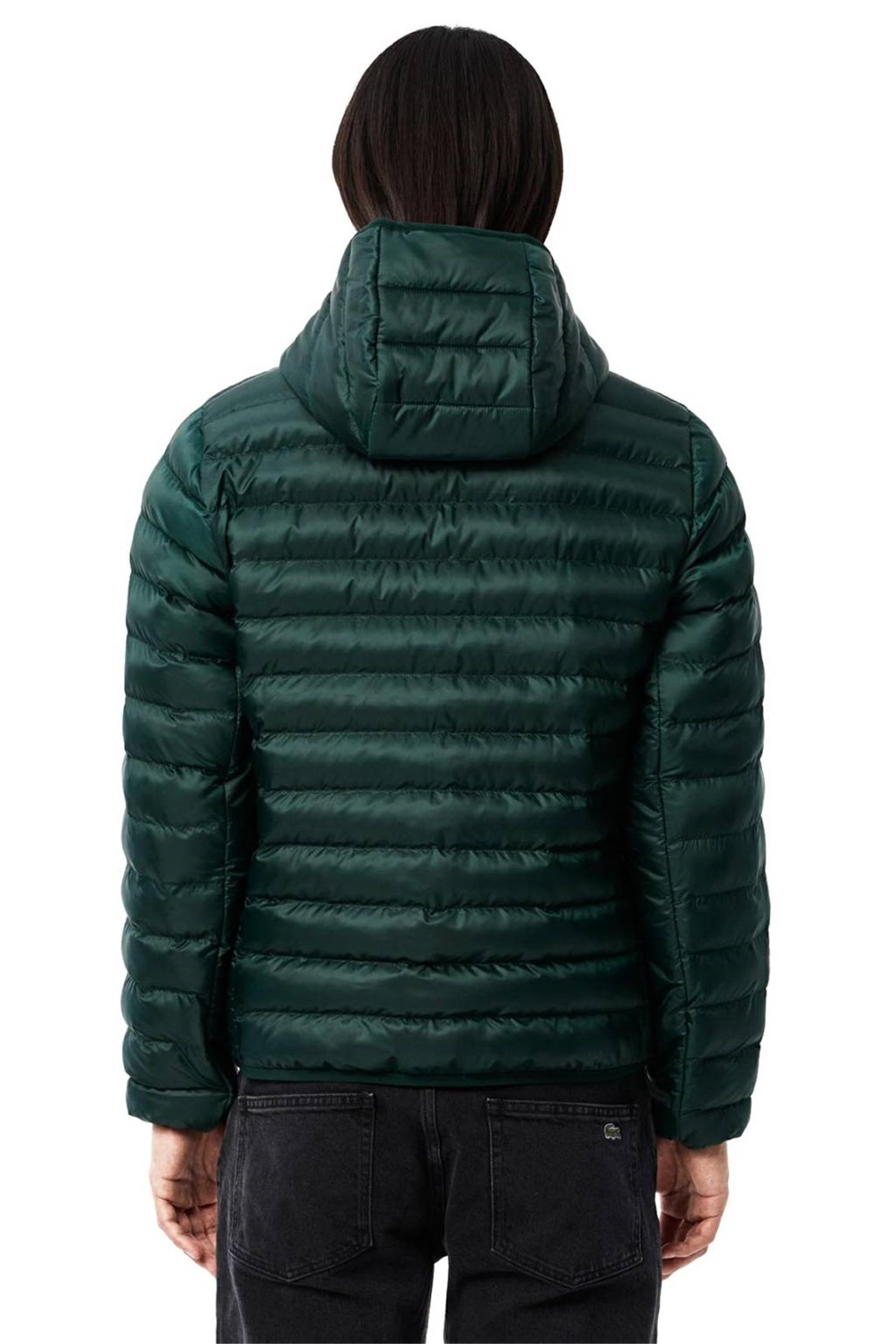 Lacoste BH2909 Verde Abbigliamento Uomo Giacca Lacoste BH2909 Verde Abbigliamento Uomo Giacca