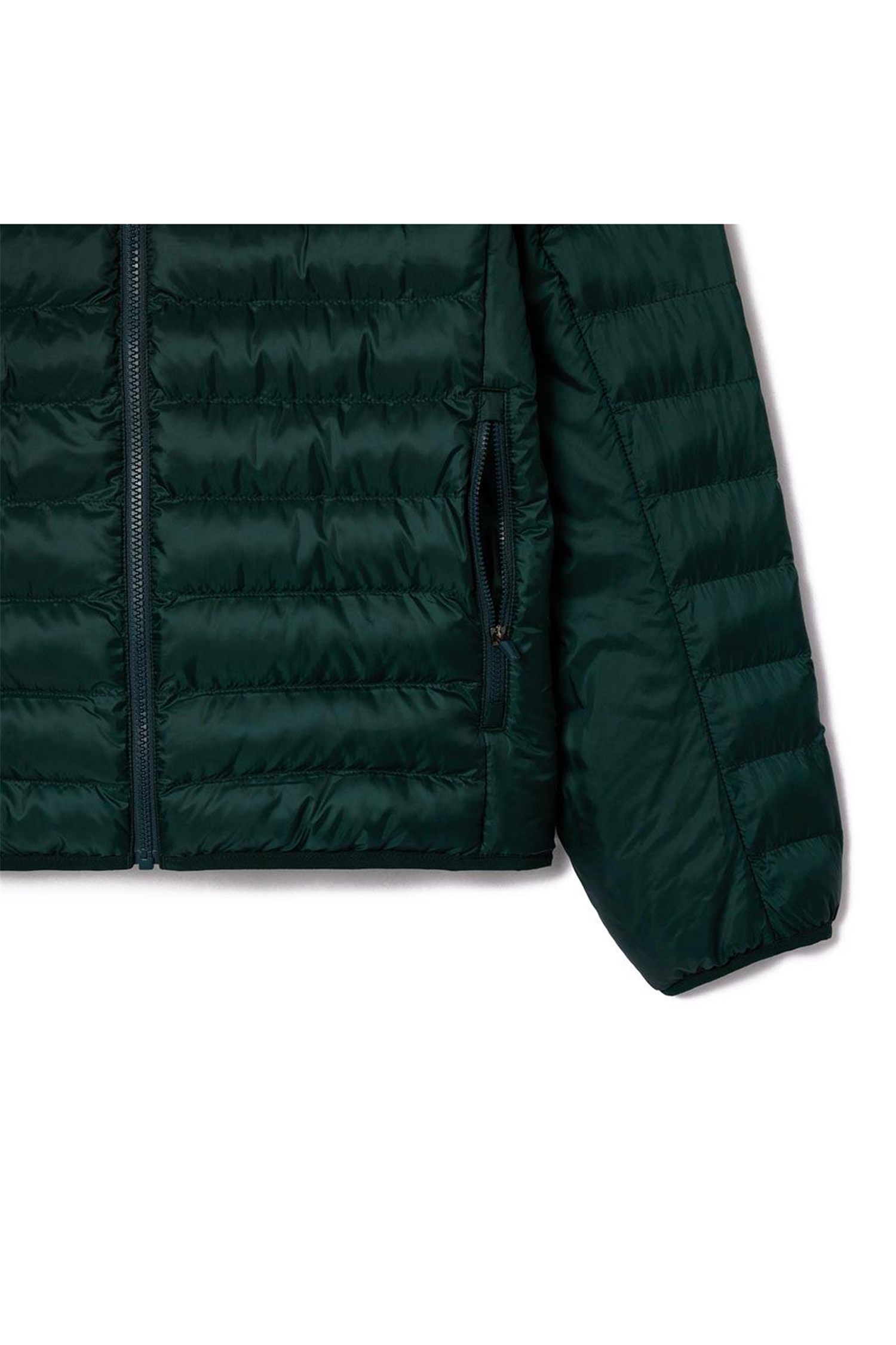 Lacoste BH2909 Verde Abbigliamento Uomo Giacca Lacoste BH2909 Verde Abbigliamento Uomo Giacca