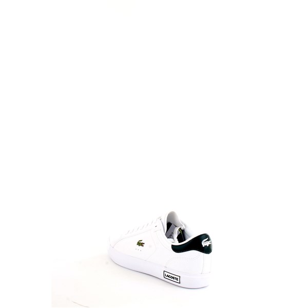Lacoste Sneakers White
