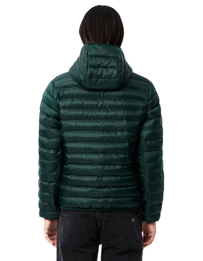 Lacoste Jacket Green