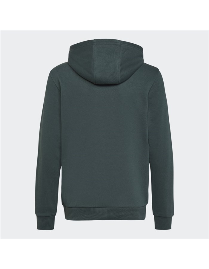 ADIDAS ORIGINALS Sweater Green